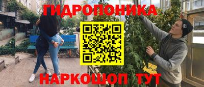 mdpv Новозыбков